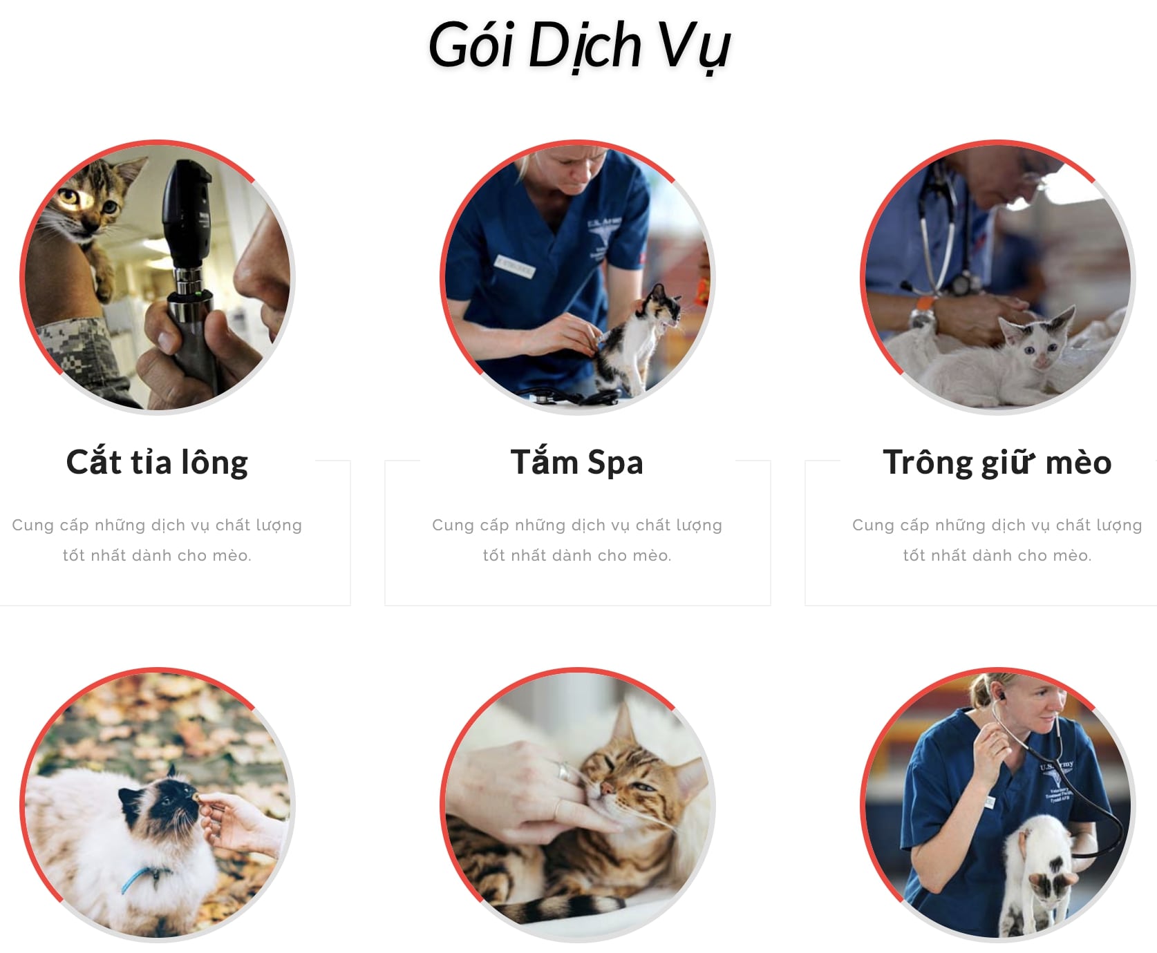 Tối ưu SEO & Quảng cáo đa kênh hiệu quả