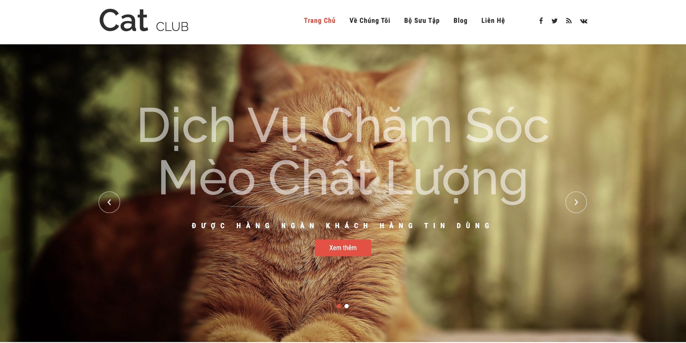 Thiết Kế Website thú cưng Chuyên Nghiệp